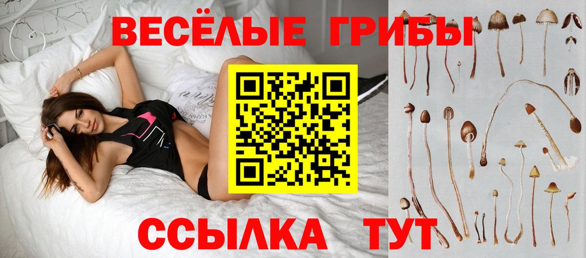 Калач-на-Дону  Галлюциногенные грибы мухоморы  Вход с VPN 