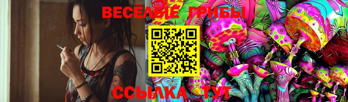 Псилоцибиновые грибы мухоморы Калач-на-Дону